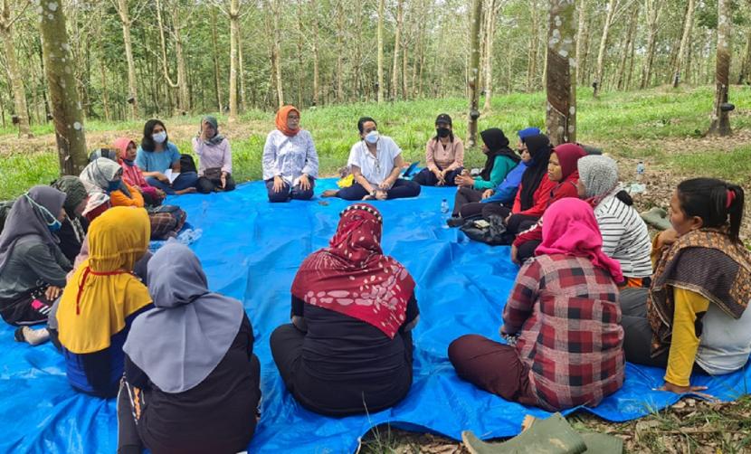 Pembinaan Kelompok Tani