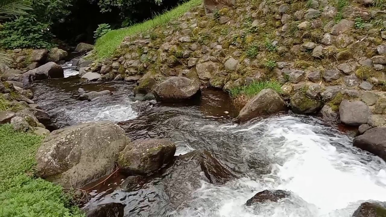 Sungai Kecil yang Jernih