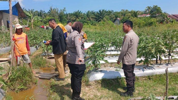 Sosialisasi Pertanian